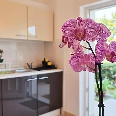 Apartment Bosko